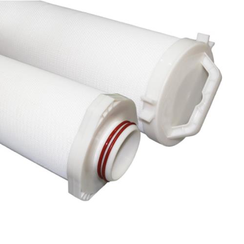 Replace Pentair Aqualine